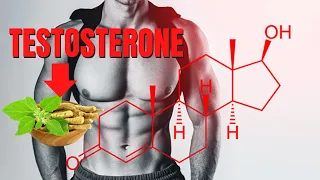 BOOST al TESTOSTERONE GRAZIE all'ASHWAGANDHA: Cos'è e come funziona questa radice naturale