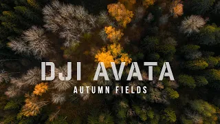 DJI Avata - Cinematic footage from the fields