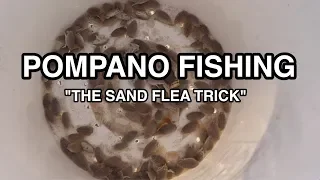 POMPANO FISHING: Easy Trick To Keep Sand Fleas Alive For Days