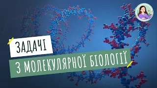 Розв'язання елементарних вправ зі структури білків та нуклеїнових кислот