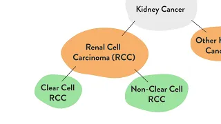 What is Clear Cell Renal Cell Carcinoma?