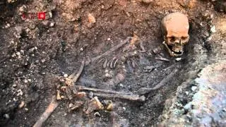 King Richard III DNA Results