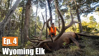 Public Land Bull! (9 Miles Deep) | 2019 Wyoming Elk (Ep. 4)