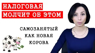 Самозанятый в чем опасность? Кто может стать? Какие плюсы и минусы!