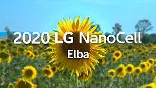 2020 LG NanoCell l Elba HDR 60fps