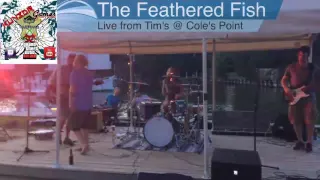 The Feathered Fish: Live @ Coles Point 4