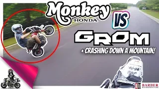 Honda Monkey vs Grom | Crashing down a Mountain