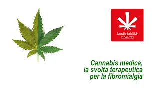 Cannabis medica, la svolta terapeutica per la fibromialgia