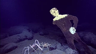 Dudley at the Endeavour hydrothermal vents