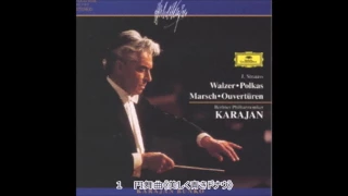 Strauss work collection  Karajan  Berlin Philharmonic Orchestra