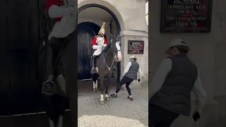 "Guardian Angel of the Royal Horse: A Tourist's Act of Kindness" #Shorts