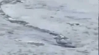 Iceland Loch Ness Monster caught on film  Worm Monster