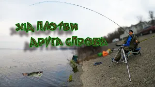 Хід плотви🎣🎣🎣  Друга спроба 🔥🔥 Трипілля😎