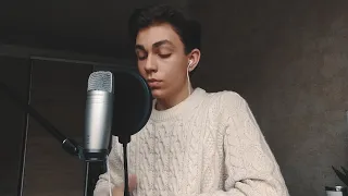 Billie Eilish - idontwannabeyouanymore (Cover by Denis Kalytovskyi)