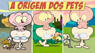 Mongo e Drongo e a Origem dos Bichinhos - Quando Mongo e Drongo encontraram os bichos de estimação