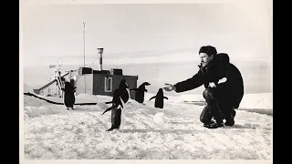 Советская Антарктическая Экспедиция