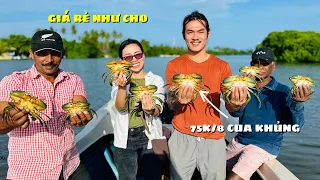 Tìm cua khổng lồ trên đầm nước lợ làm điểm tâm sáng sớm