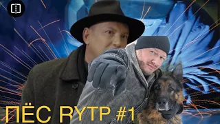 ПЁС RYTP #1