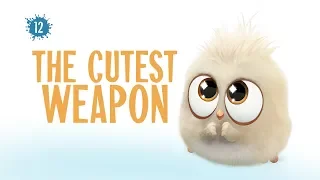 Angry Birds Blues | The Cutest Weapon - S1 Ep12