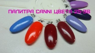 Палитра Canni цвета 25 - 36. Свотчи Canni. Плотность Canni. Обзор