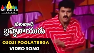 Palanati Brahmanaidu Video Songs | Ososi Poolateega Video Song | Bala Krishna | Sri Balaji Video