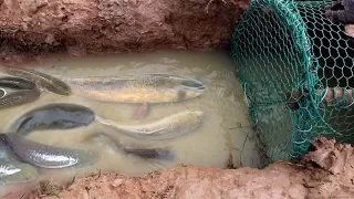 Smart Women Make Easy  Fish Trap To Catch A Lot Of Fish