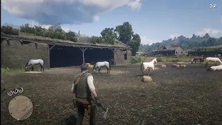 RDR2 - Hunting all animals in farm