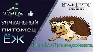 🐼Ёжики🦀 в Black Desert online,как работают,что могут и какие они бывают!