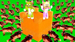 100 HUNDE vs. KATZEN BASE ✿ Minecraft [Deutsch/HD]