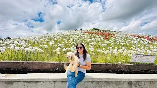 Baybay, Leyte || St. Anthony Shrine + Lintaon 16,000 Blossoms