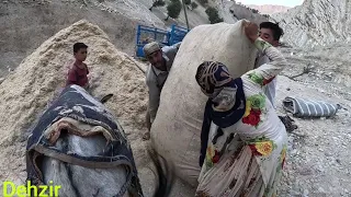 Preparation of hay and fodder to store sheep for the winter