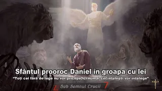 Proorocul Daniel in groapa cu lei - Toţi cei fără de lege nu vor pricepe, ci numai cei înţelepti.