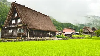 Solo Traveling to a Japanese Historical Village | Shirakawa-go in Heavy Rain