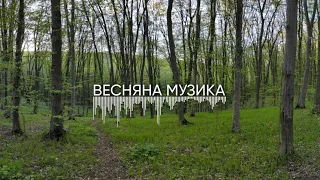 СУЧАСНА УКРАЇНСЬКА МУЗИКА. ВЕСНЯНА ЗБІРКА РЕМІКСІВ ТА ПІСЕНЬ. 29 ТРЕКІВ ЗА 39 ХВИЛИН - Супер Пес UA