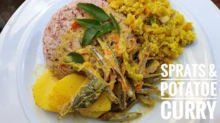 Sri Lankan Village Style - Dried Nethali/Sprats curry ( with coconut milk)