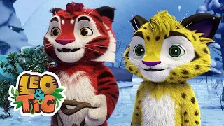 Leo & Tig - Los campeones de la Navidad (episodio completo 26) | Caricatura animada 🐯🦁