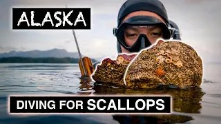 Freediving for scallops in Alaska - Kimi Werner - Spearfishing - Recipe - Catch and Cook