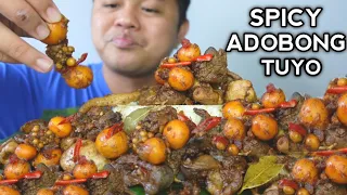 SPICY ADOBONG TUYO LAMAN LOOB NG MANOK | INDOOR COOKING | BEST FILIPINO FOOD | MUKBANG PHILIPPINES