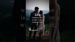 English emotional lines | WhatsApp status | Refaad quotes | #whatsappstatus #quotes #love