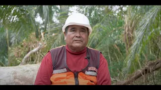 Sustainable community forest management in the Guarayos landscape, Bolivia