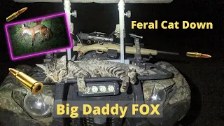 Fox Hunting Australia and shooting Feral Cats