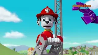 Paw Patrol : la Pat'Patrouille | Lumière, moteur... Attention ! | NICKELODEON JUNIOR