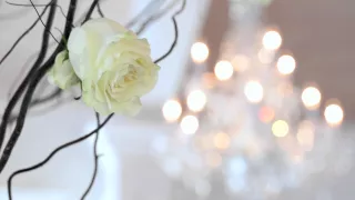 Florida Wedding Venue - The White Room Weddings and Events HD2