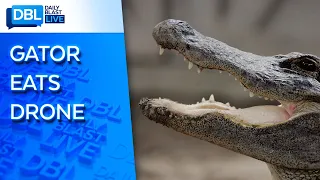 Watch: Gator Smarts Smoking After Snatching Drone From the Air