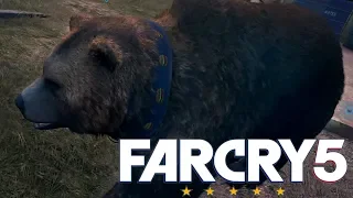 НАКОНЕЦ НАШЛИ МЕДВЕДЯ ЧИЗБУРГЕРА ● Far Cry 5 #19