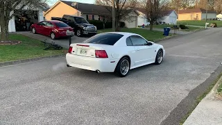 2000 Mustang GT 4.6L, Long tube headers, Pypes H-pipe, Pypes Violator Catback