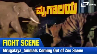 Mrugalaya -- ಮೃಗಾಲಯ | Animals coming out of zoo Scene|FEAT. Ambarish, Geetha