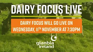 Dairy Focus Vodcast LIVE No1:  Selective dry cow therapy and winter feed plans for the herd