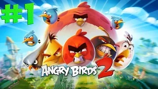 Angry Birds 2?! Злые птицы возвращаются! #1