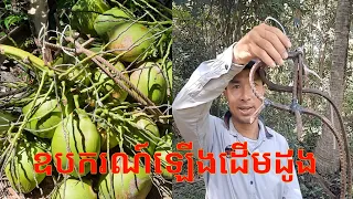 ឧបករណ៍ឡើងដើមដូងថ្មីតូចហើយស្រាល ងាយស្រួលយកតាមខ្លួន New, lightweight, easy-to-carry coconut climber